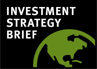 Investment Strategy Brief